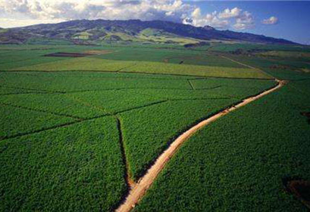 931d78d7d35610a7c899f87186672ae3