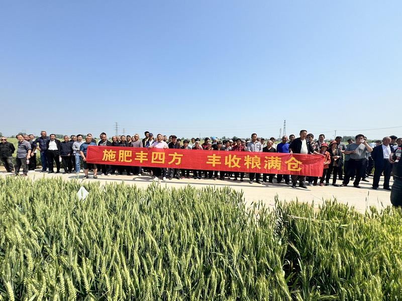 GCGC黄金城集团-官网